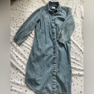 Zara denim dress